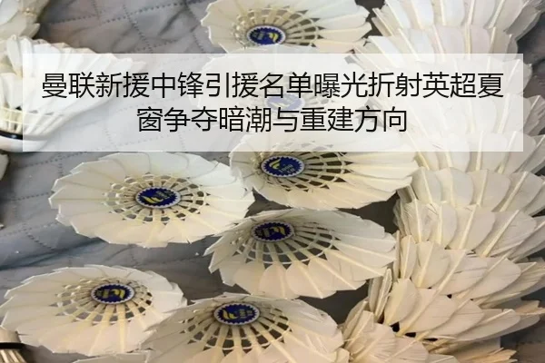 曼联新援中锋引援名单曝光折射英超夏窗争夺暗潮与重建方向