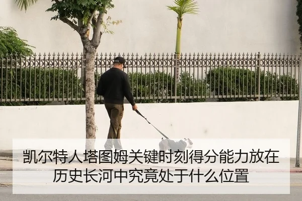 img_1783161312943_11_1_153.jpg