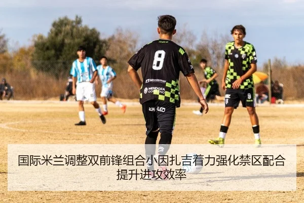 国际米兰调整双前锋组合小因扎吉着力强化禁区配合提升进攻效率（kaiyun）